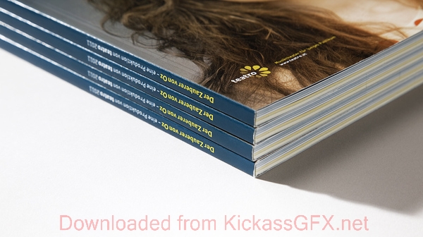 ddos网页在线攻击